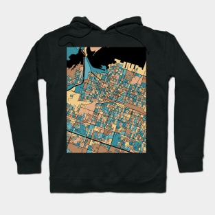 Hamilton Map Pattern in Mid Century Pastel Hoodie